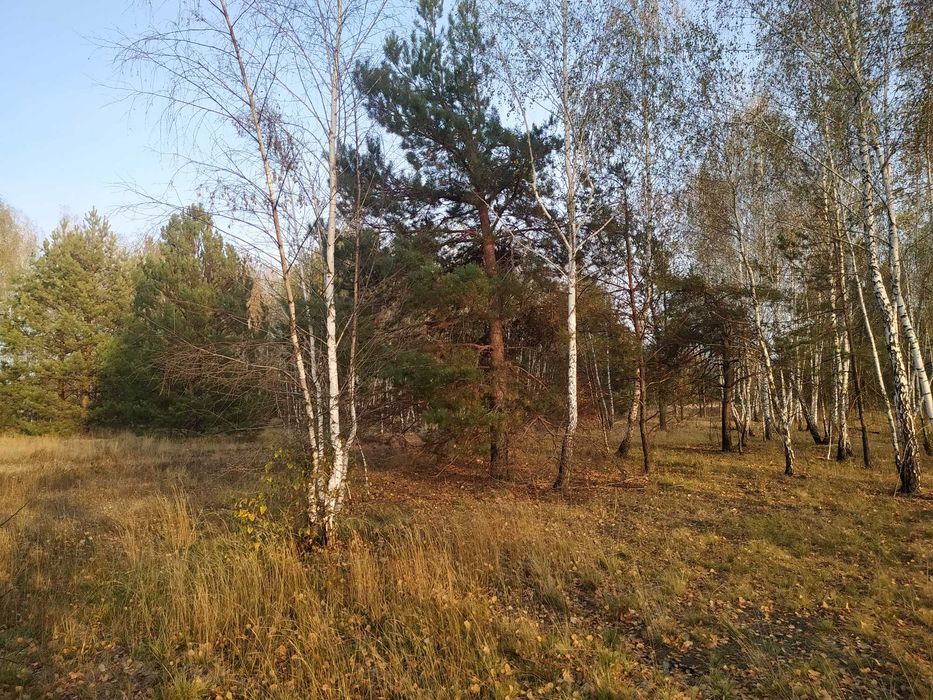 Продам ділянку 20 соток під забудову біля лісу с. Жукин