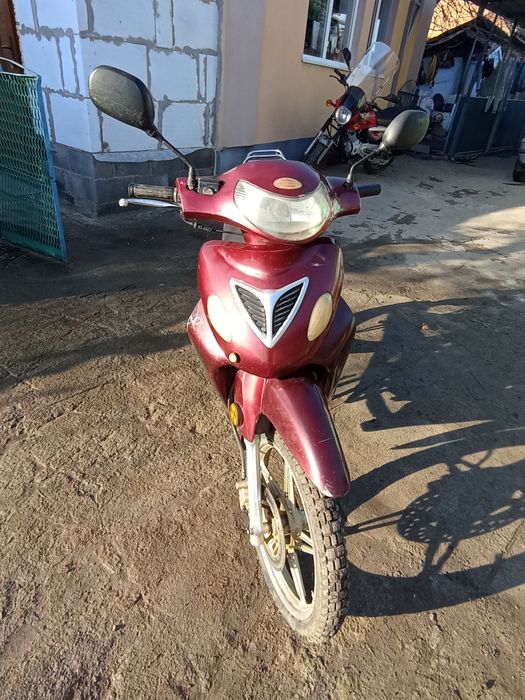 Продам мопед Qinqa pegas110