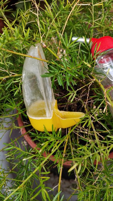 Поїлка для гризунів та попугая