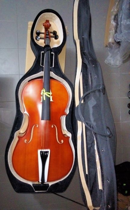 Estojo rígido de violoncelo