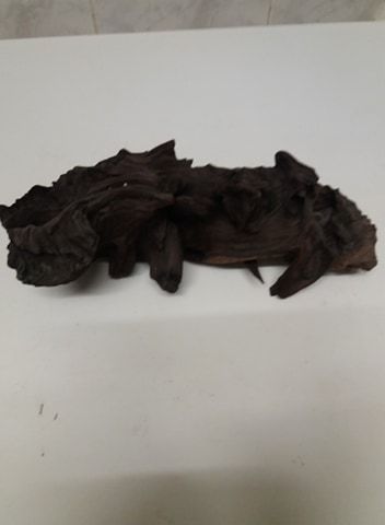 Tronco de madeira para Aquário