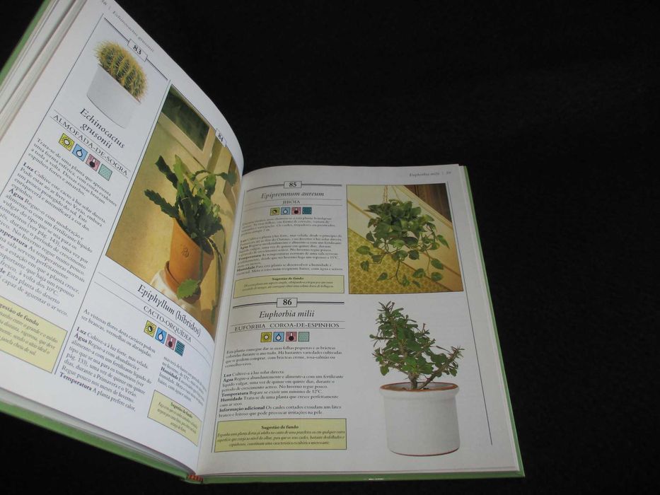 Livro 200 Plantas de Interior Richard Gilbert 1991