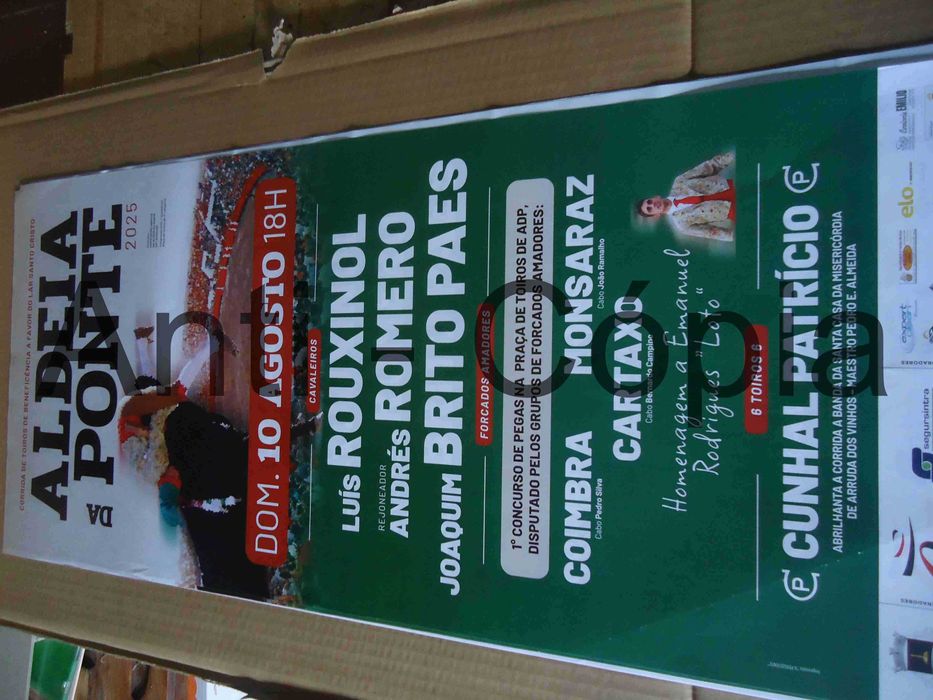 Toiros - Cartazes de Montra 1