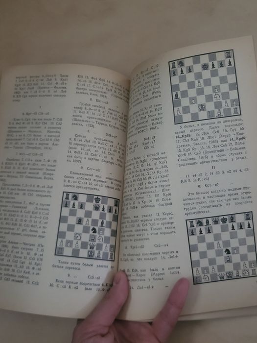 Шахматы. Теория и практика.