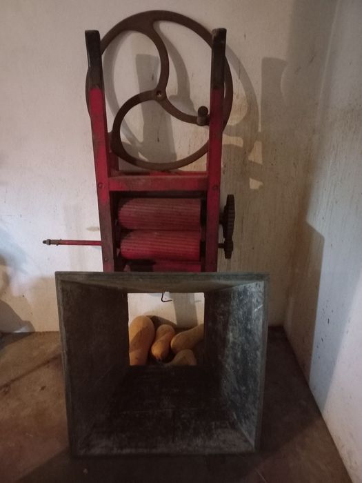 Esmagador  para  uvas