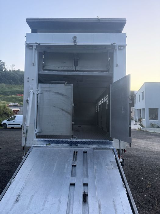 Animais vivos Renault 370