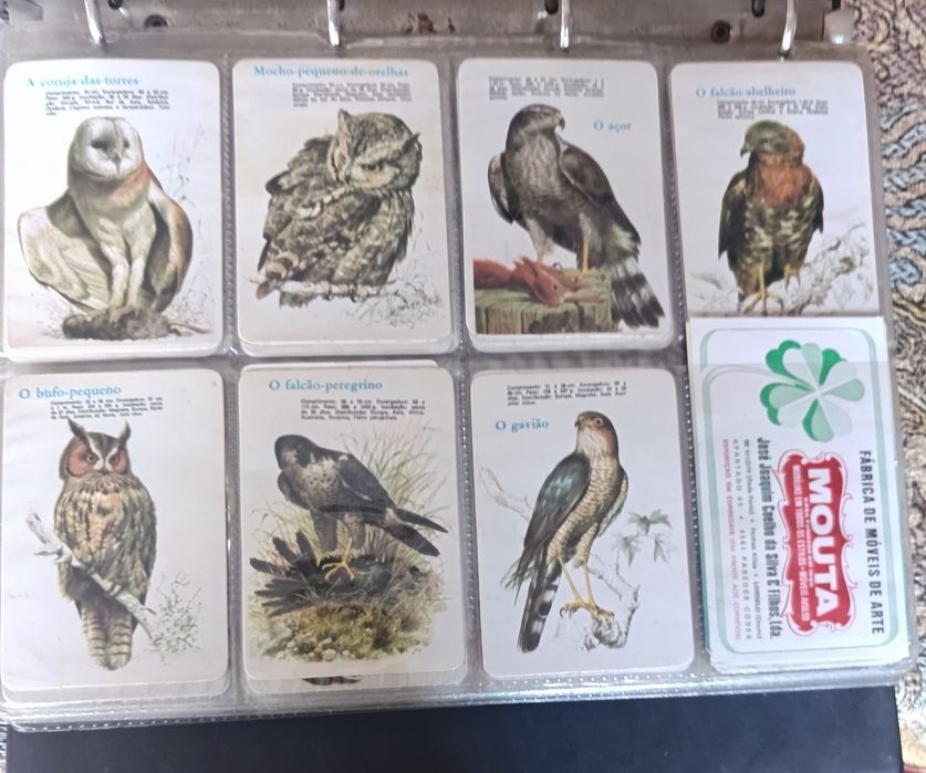 Calendários de bolso