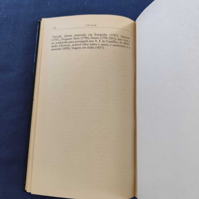 J. W. Goethe - Werther