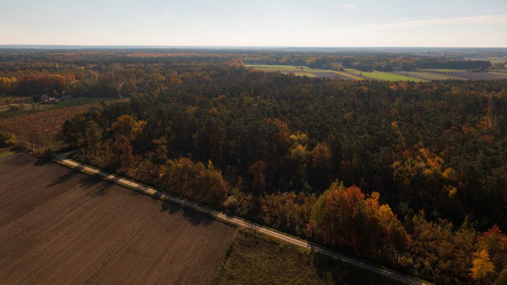 Działka budowlana 2904 m² | Wiaderno | Super okolica | Możliwa zamiana