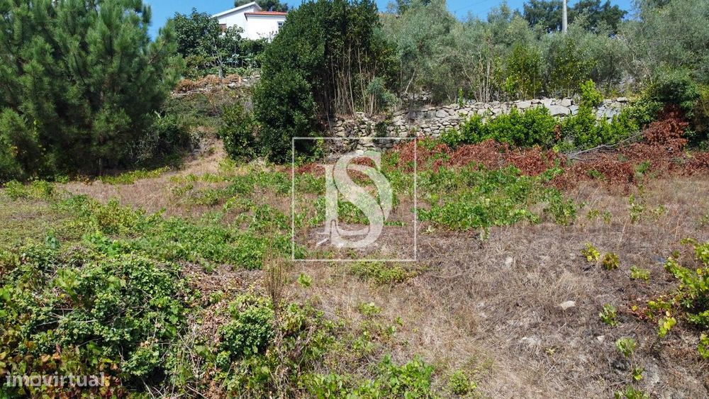 Terreno  Venda em Ancede e Ribadouro,Baião