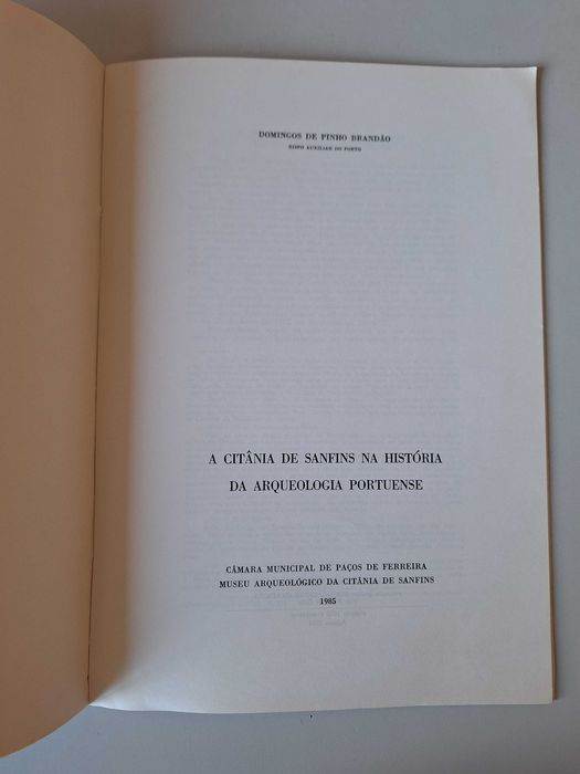 Citânia de Sanfins na história da arqueologia portuense