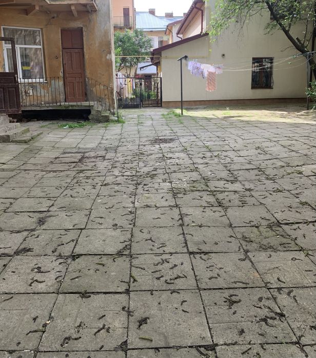 Продаж Привокзальна 2 кімнати Олени Степанівни з ремонтом - зображення 1