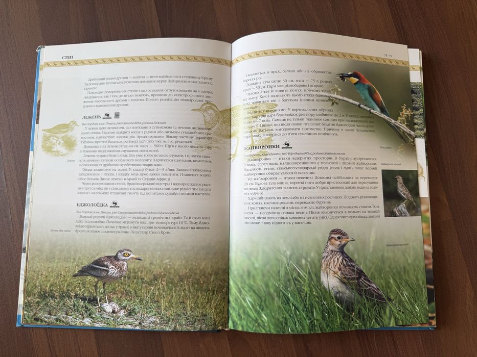 Природа України: тварини, птахи, комахи, риби - гарна енциклопедія
