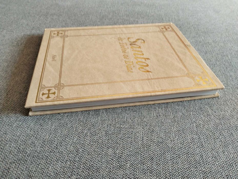 Livro "Santos de todos os dias"