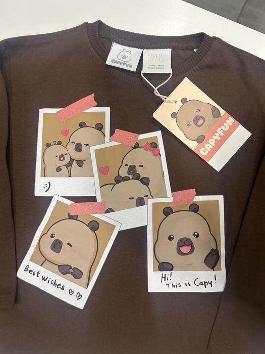 Реглан Zara розмір 98/104/110