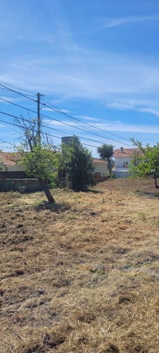 Manutenção de jardins/Limpeza de terrenos/Serviços Agrícolas