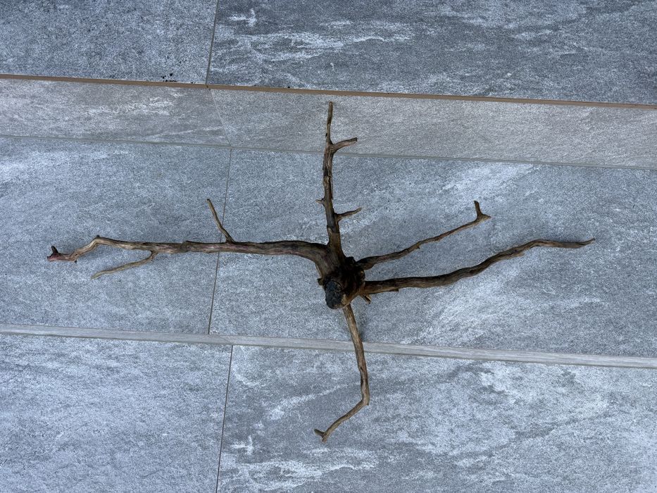 Korzeń akwarium terrarium krewetkarium naturalny ozdoba