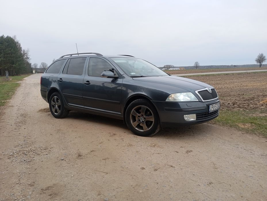Skoda Octavia 2 1.9 TDI 4×4