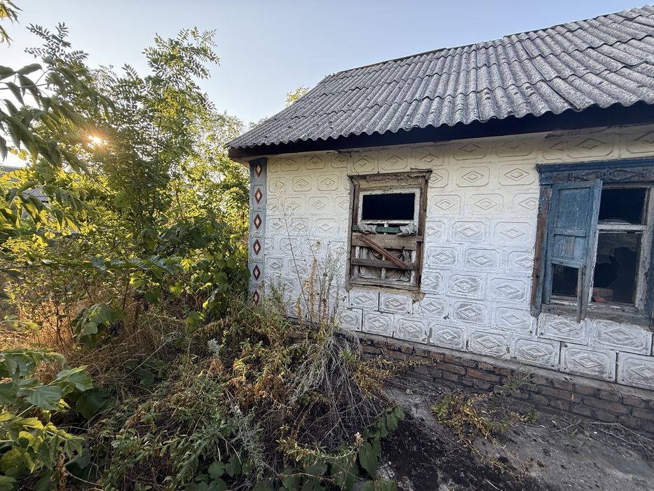 Продам будинок Сурсько-Литовське