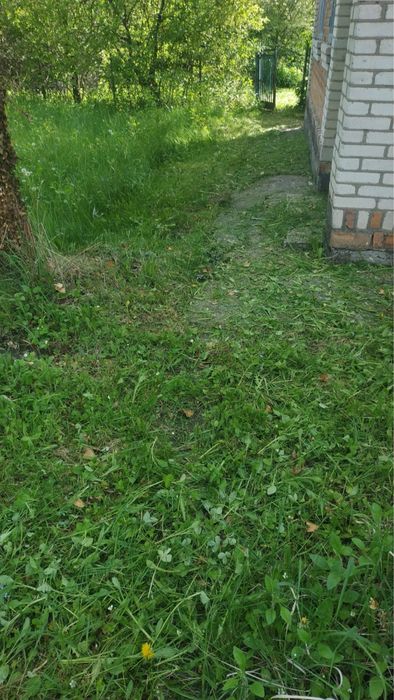 Продам будинок в с. Рибаче (Петрик)