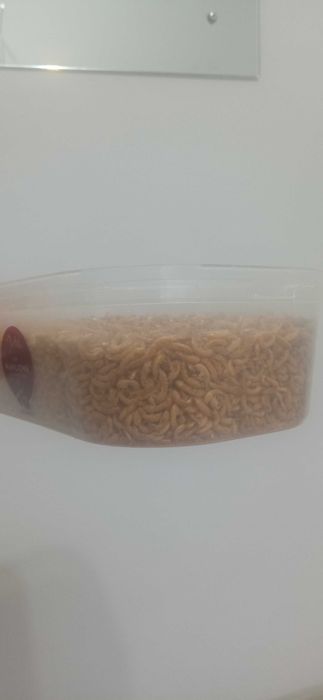 Gammarus suszony 700ml Pokarm Naturalny dla Ryb Żółwi Gadów Ptaków