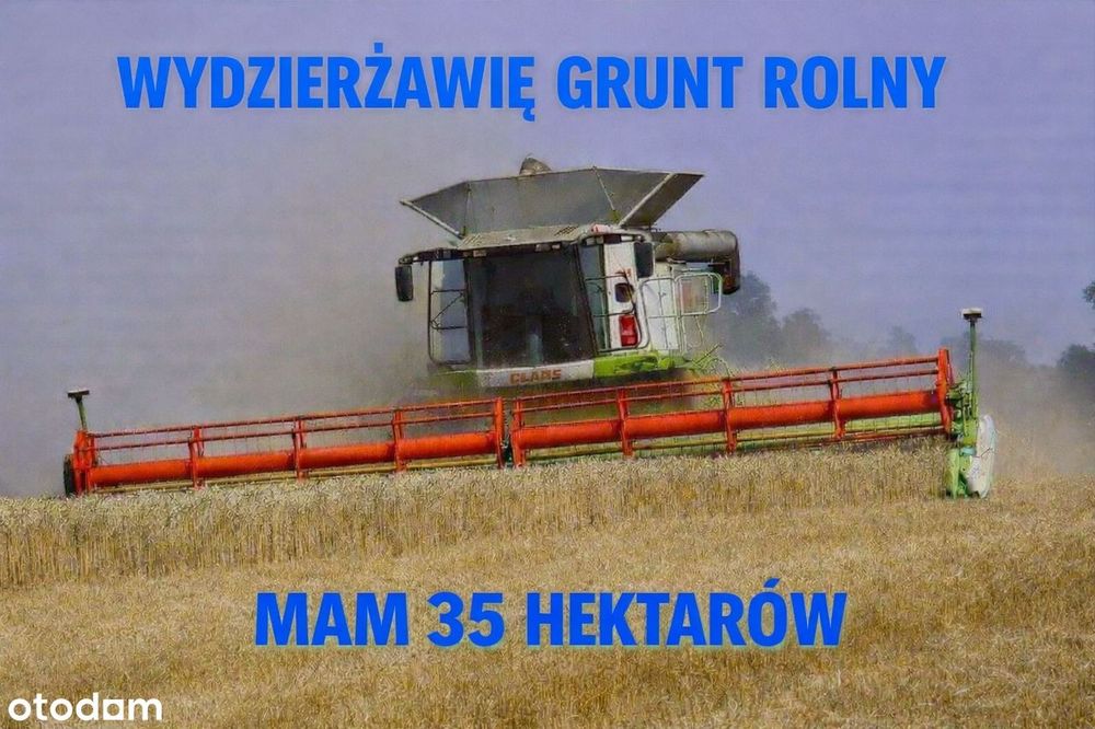Grunt rolny 35 hektarów wydzierżawię Ziemia Rolną - grunty rolne orne