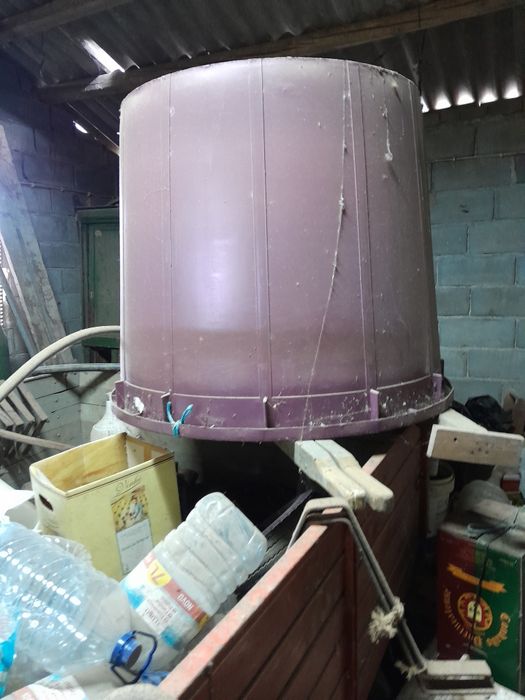 Crivos antigos bom estado também tenho dorna para uvas vindima