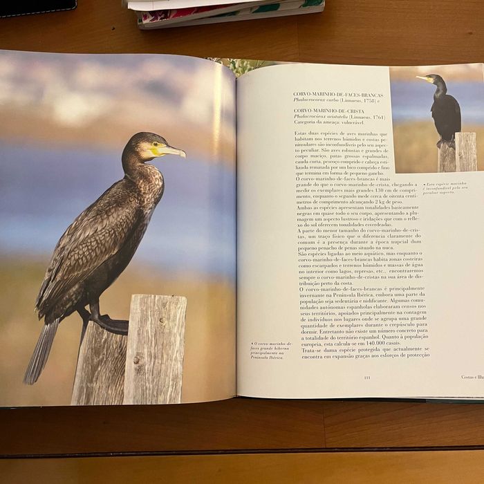 A Nossa Natureza : Espécies Protegidas (2 volumes, Aupper)