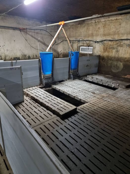 Продам сучасне підприємство свинофермуму