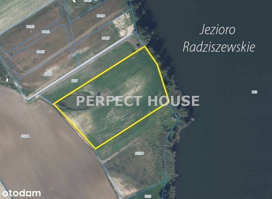 Działka nad Jeziorem Radziszewskim, linia brzegowa