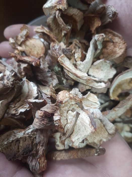 Білий гриб сушка 1200