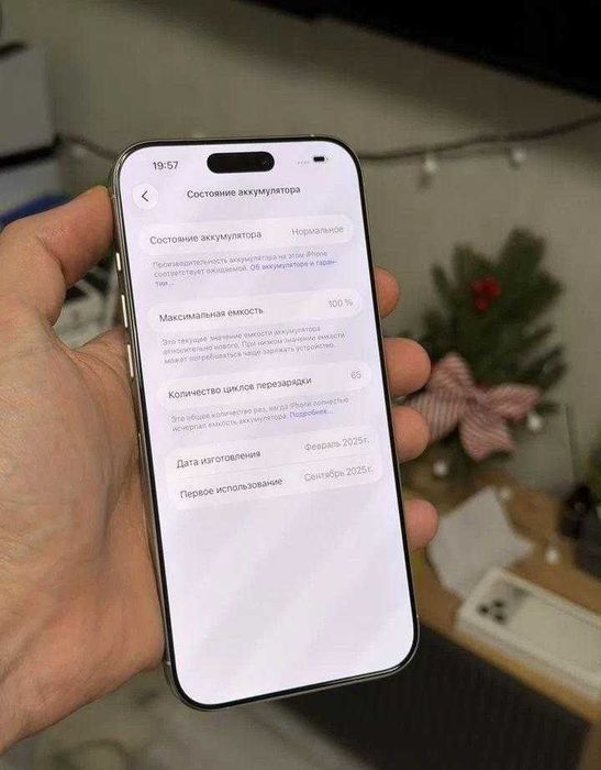 iPhone 16 Pro Max, 256 ГБ, SIM + eSIM