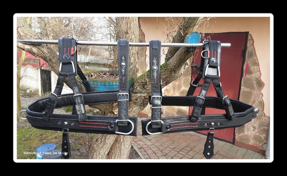 Шлея шкіряна для коня від 2500