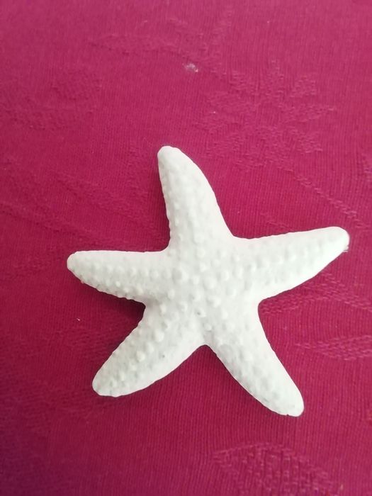 Íman Estrela do mar, novo