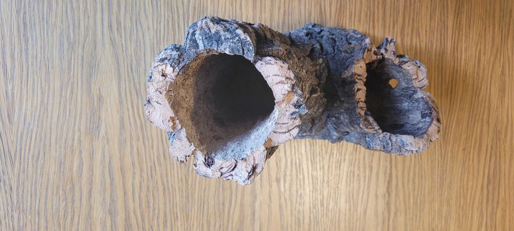 Korzeń do terrarium