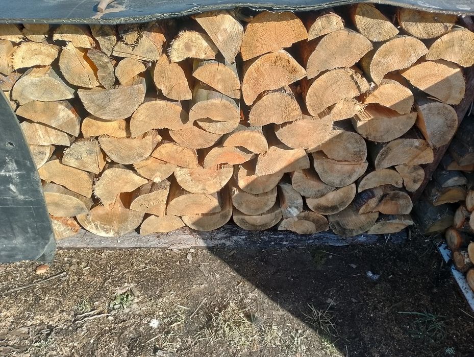 Drzewo opałowe sosna, dąb