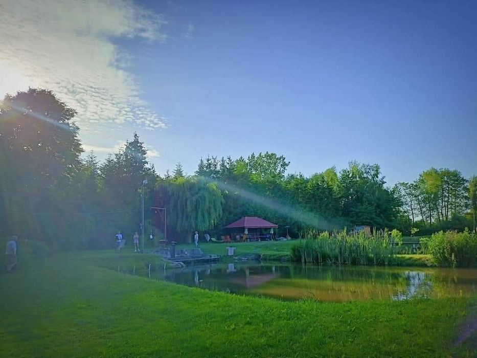 pokoje, domek, agroturystyka