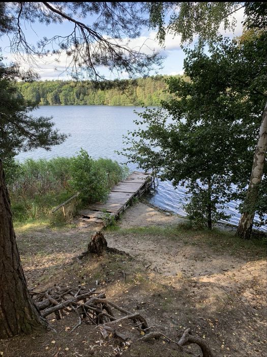 Działka w Sierakowie (las/jezioro)