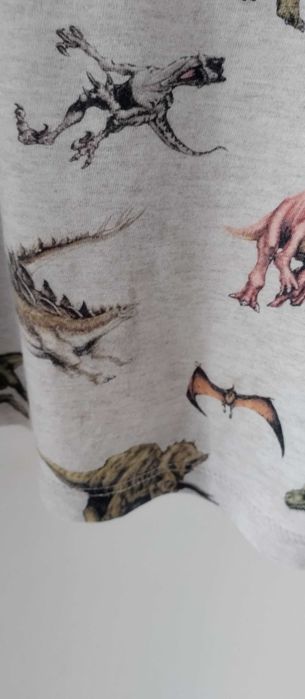 Piżama dla chłopca góra od piżamy dinozaury szara 110/116 H&M