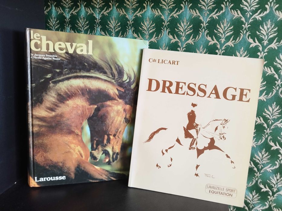 Książki marzeń - pogrupowane tematycznie