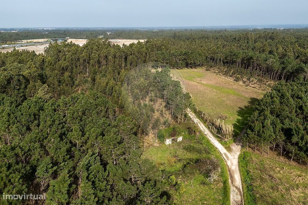 Terreno  para venda