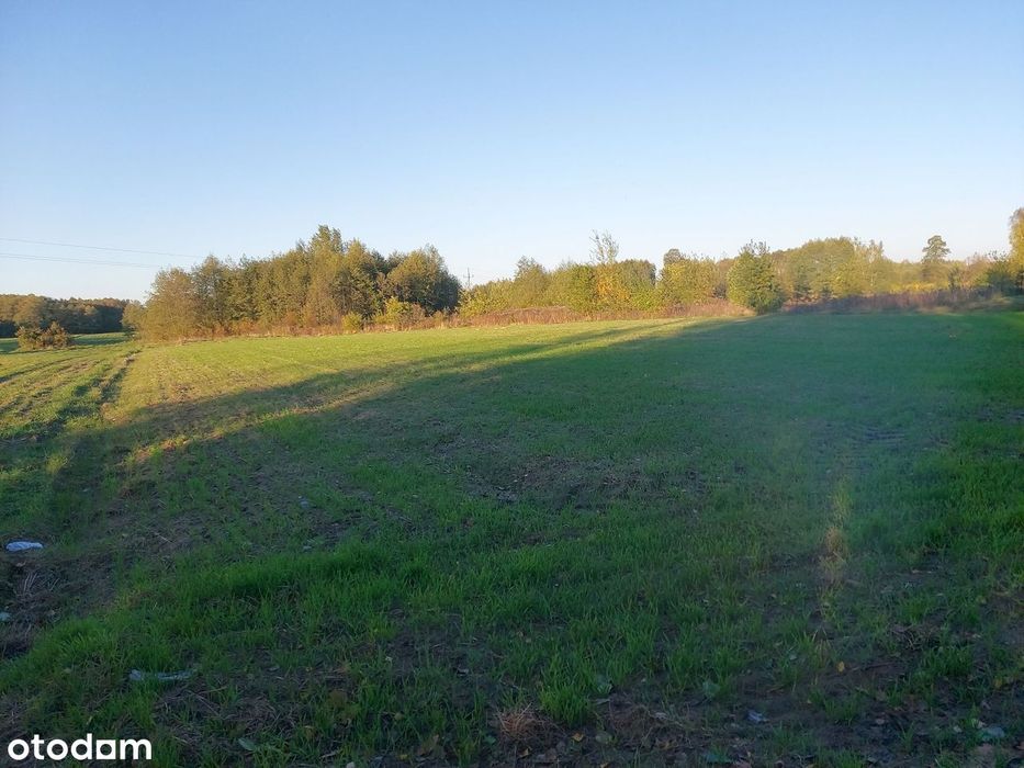 Sprzedam działkę rolno – budowalną położoną w Janowie w gm. Skaryszew - Widok 2