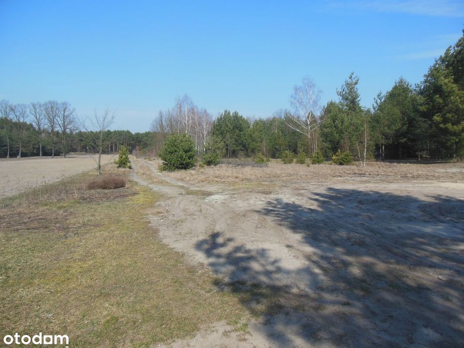 Działka 7696 m² z mediami w spokojnej okolicy - Widok 4