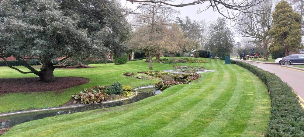 Manutenção e limpeza de jardins