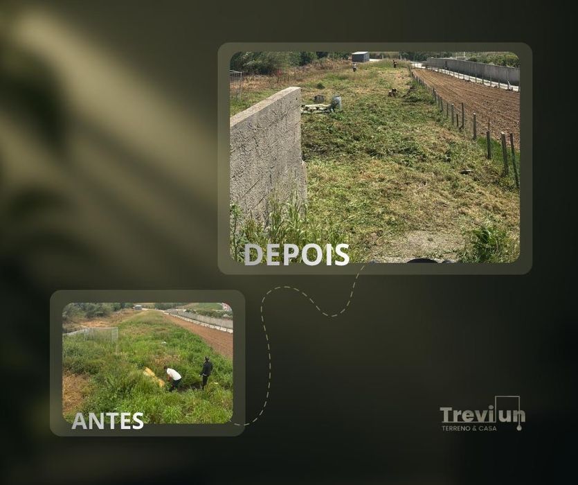 Limpeza de Terrenos e Jardins.