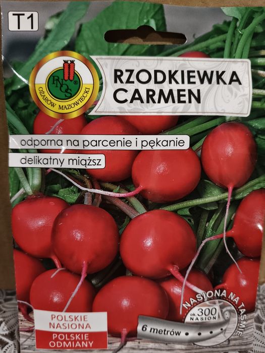 Rzodkiewka Carmen na taśmie