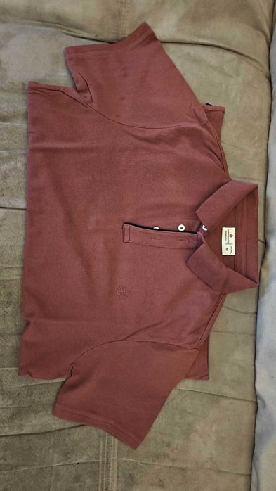 Polo Springfield