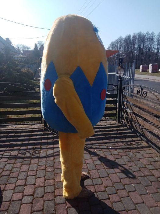 kostium reklamowy