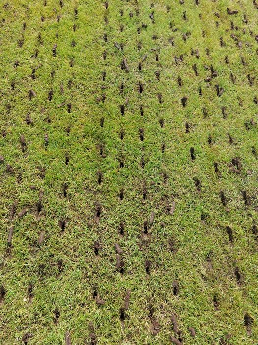 Aeracja z wykorkiem piaskowanie wertykulacja trawnikow