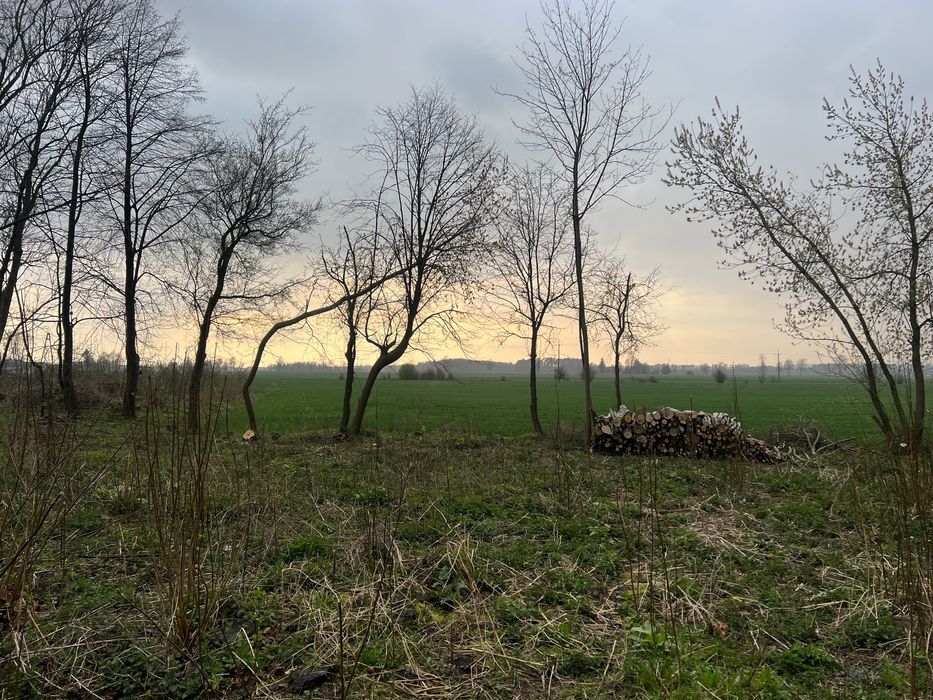 Działka budowlana 15km od Ciechanowa asfaltowy dojazd !!!